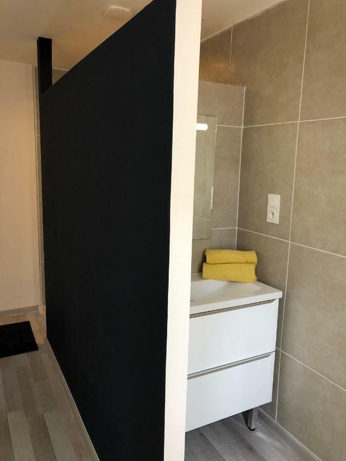 Fraichement Renove, Spacieux, Quartier Calme, Le Cocon De Lena Carcassonne Eksteriør billede